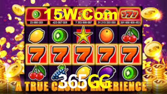 Premium Interface 365GG